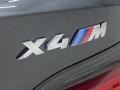 BMW X4 M  Dark Graphite Metallic photo #8