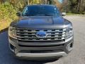 Ford Expedition Limited Max Magnetic Metallic photo #3