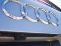 Audi Q7 4.2 quattro Light Silver Metallic photo #11