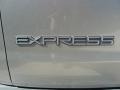 Chevrolet Express 1500 Passenger Conversion Van Light Pewter Metallic photo #17