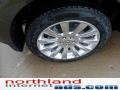 Lincoln MKX Limited Edition AWD Earth Metallic photo #8