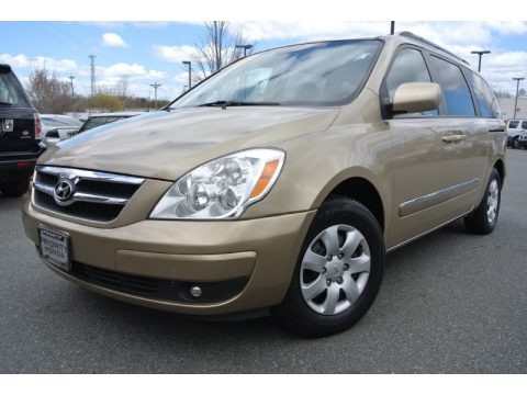 Sonora Gold 2007 Hyundai Entourage GLS Sonora Gold 2007 Hyundai Entourage GLS