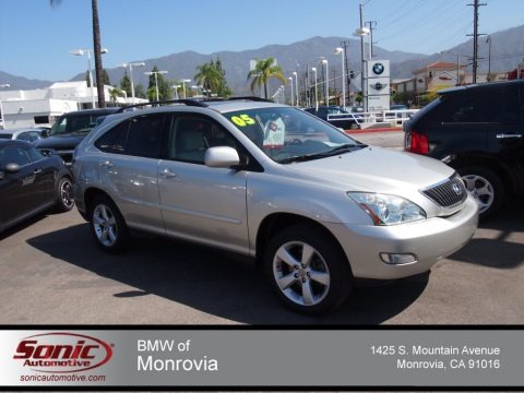 Millenium Silver Metallic 2005 Lexus RX 330 Millenium Silver Metallic 2005 Lexus RX 330